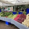 ballard farmers market-radish