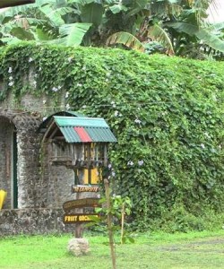 Villa Socorro