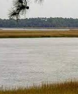 Grover Island- marsh