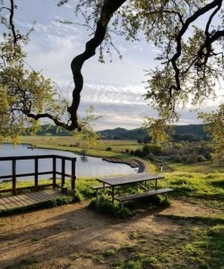 Peña Adobe Regional Park Travis AFB- bench