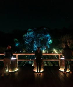 Island Lumina Overseeing in Sasebo, Japan