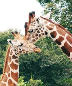 Biopark04