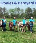 Beach Party Ponies &amp; Barnyard Petting Zoo- staff