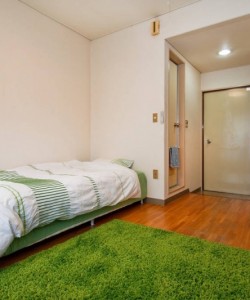 日本の日常生活が見れるかも?観光地と違う体験したい方(#^.^#)