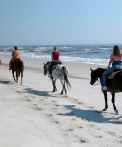 Horseback Riding in Jacksonville, Florida