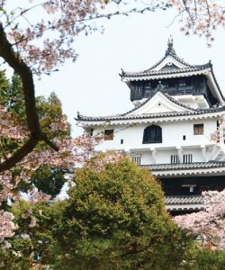 Iwakuni Castle-2