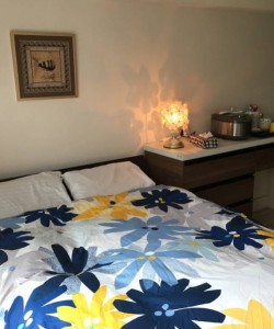 1 min from station/Pocket Wi-fi