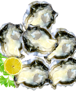 Oyster