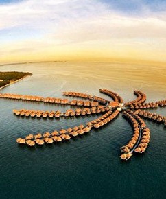 4N GOLDEN PALM TREE ICONIC - SBI