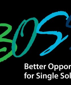 Boss Logo in Kentucky, Fort Campbell