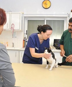 Dr. Nonie Coutts - O/S Vet in Adliya