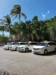 Hello Cab Hawaii-palm tree