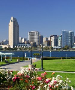 Centennial Park Coronado-flowers