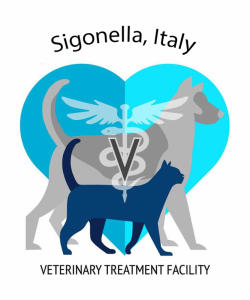 Sigonella Veterinary Clinic in Catania, Italy