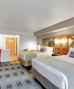 Best Western Inn Room in Everett, Washington