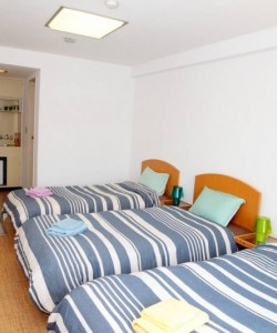 310 3-bed, Osaka-castle, along the river