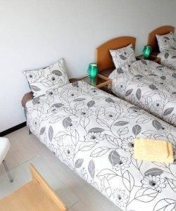 309 Osaka-castle, along the river