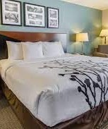 Sleep Inn &amp; Suites Rapid City-single bed