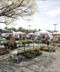 Federal Way Farmers Market-location