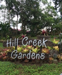 Hillcreek Gardens Tagaytay Hotel