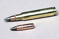 Restricted Bullet in Kentucky, Fort Campbell