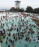 campuestohan1