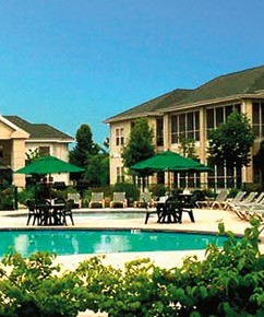 Palace View by Spinnaker