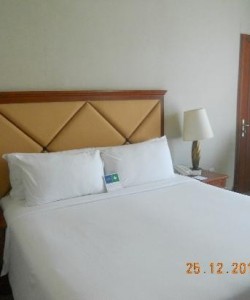 Al Diar Capital Hotel