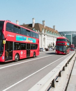 everett trip and tours