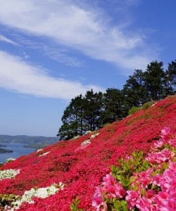 Saikai national park