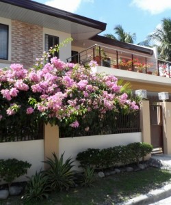 Continents Bed and Breakfast