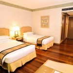 Waterfront Insular Hotel