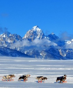Iditarod National Historic Trail in Alaska