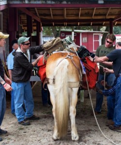 Eglin AFB Sand and Spur Riding Club