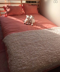 Easy to go to USJ,Namba,Shinsaibashi Room.501