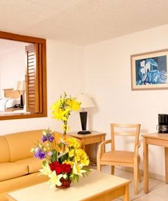 Royal Holiday- Holiday Inn Vallarta