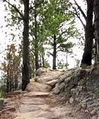 hanson-larsen memorial park- trecking