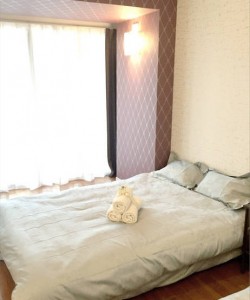 2 Dotonbori Riverside Apartment