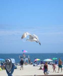 Ocean Beach Park in Connecticut