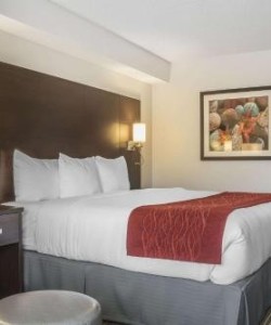 Quality Inn Kingsville-red blanket