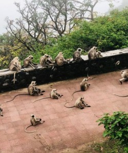 Biopark Interactive Zoo in Sasebo, Japan