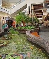 Ala Moana Center-pond
