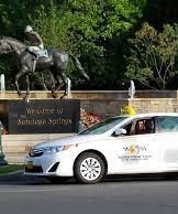 Saratoga Taxi- NSA Saratoga Springs.-horse