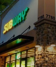 SUBWAY- BATTLE CREEK ANGB palm tress