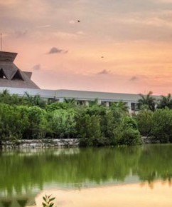 The Grand Mayan Riviera Maya