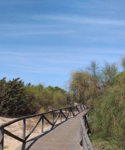 Nature Trail Park in Rota, Spain