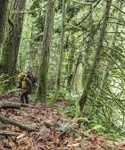 Kitsap County Anderson Landing Park-hiking