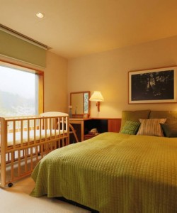 Hakone resort. Natural hot spring.