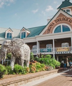 Virginia Zoo in Norfolk