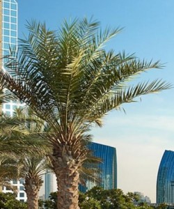 Shangri-La Hotel, Dubai